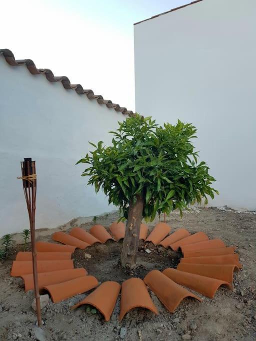 Holiday home Casa Da Enxota *