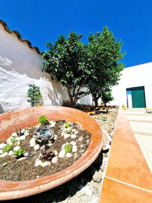 Casa Da Enxota Povoa de Sao Miguel